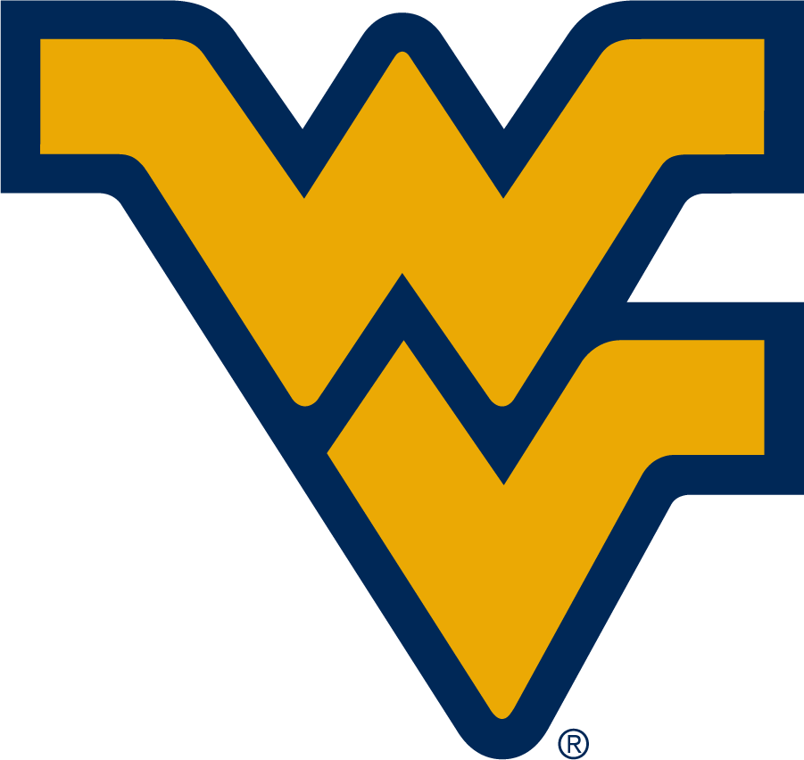 West Virginia Mountaineers 2016-Pres Alternate Logo DIY iron on transfer (heat transfer)